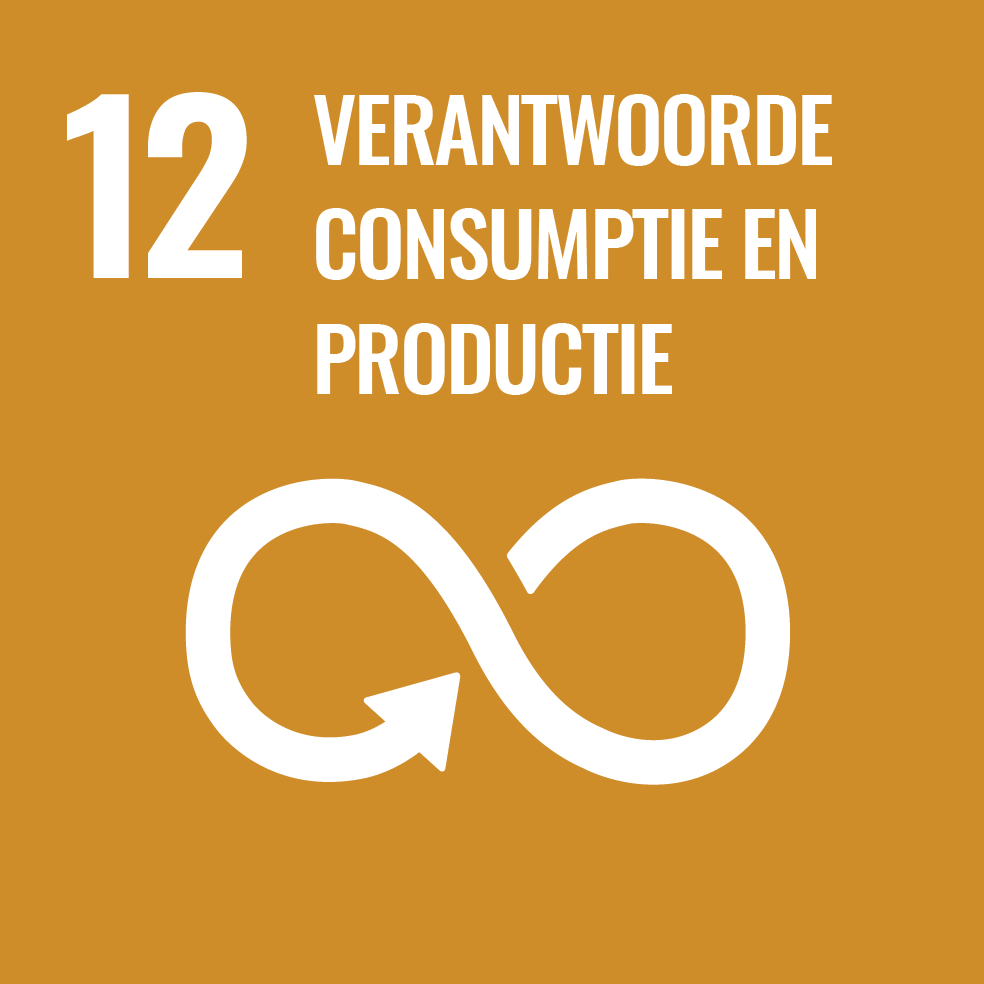 12. Zorg voor duurzame consumptie en productie