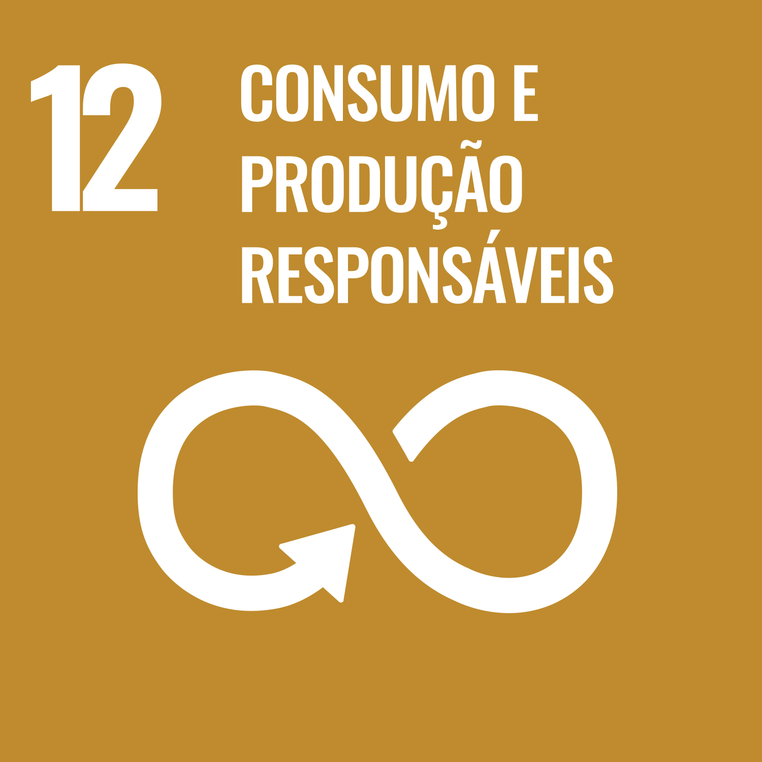 12. Consumo e produção responsáveis