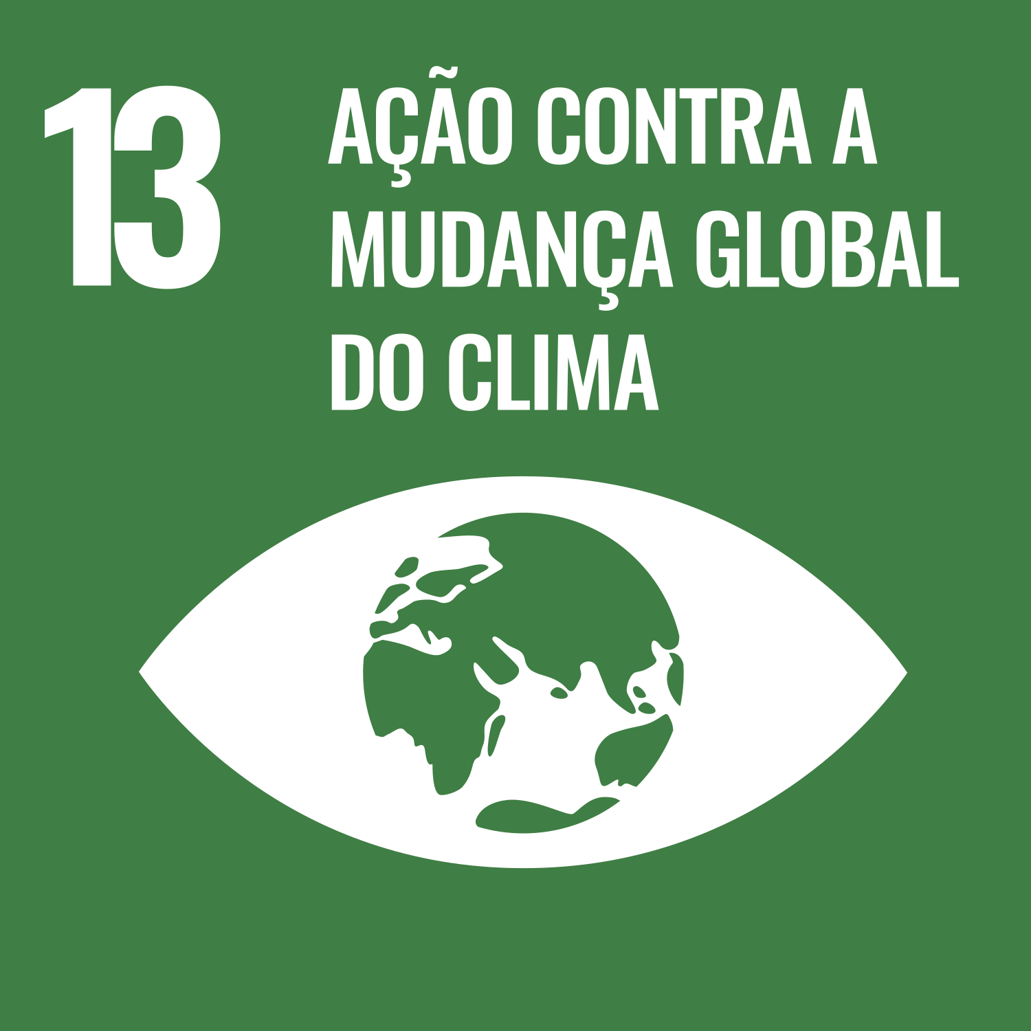 13. Ação contra a mudança global do clima
