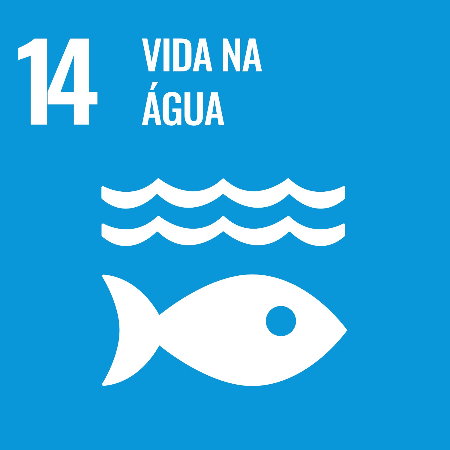 14. Vida na água