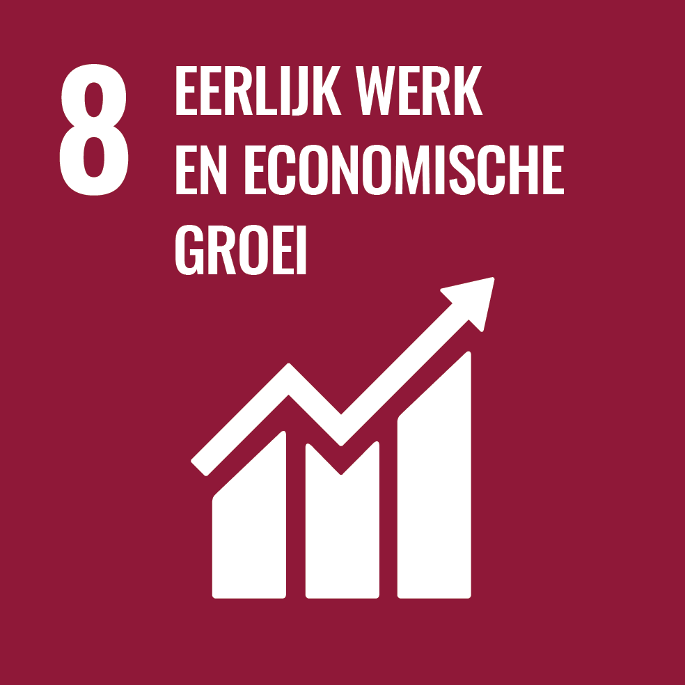 8. Bevorder blijvende, inclusieve en duurzame economische groei, volledige en productieve werkgelegenheid, en fatsoenlijk werk voor iedereen